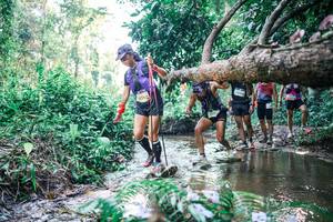 BIB: 
                            <button type="button" onclick="openModal(25435720)" class="btn btn-primary btn-sm float-right btn-popup" data-toggle="modal" data-target=".modal-high-quality">
                        <i class="fas fa-shopping-cart"></i> Add to Cart
                    </button>
                                            <button type="button" onclick="isThisMe(25435720, true)" class="btn btn-success btn-sm float-right btn-popup btn-isme hidden" data-toggle="tooltip" data-placement="bottom" title="นี่คือรูปของคุณใช่ไหม คลิกที่นี่เพื่อเอาเข้าอัลบั้ม">
                        <i class="fas fa-plus"></i> Add to album
                    </button>
                    <button type="button" onclick="isThisMe(25435720, false)" class="btn btn-warning btn-sm float-right btn-popup btn-isnotme hidden">
                        <i class="fas fa-ban"></i> Remove from album
                    </button>